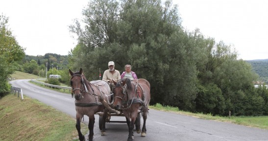 Rajd Mecsek